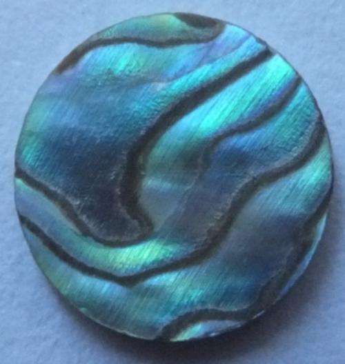 NATURAL PAUA SHELL DISC - 10MM