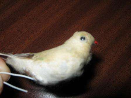 MINIATURE BIRD WITH REAL FEATHER TAIL~HAVE A LOOK!!!