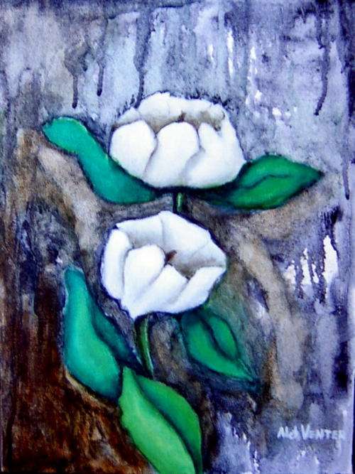 MAGNOLIAS -   OIL ON CANVAS ON BOARD, 300 x 400 mm  -   BY ALET VENTER
