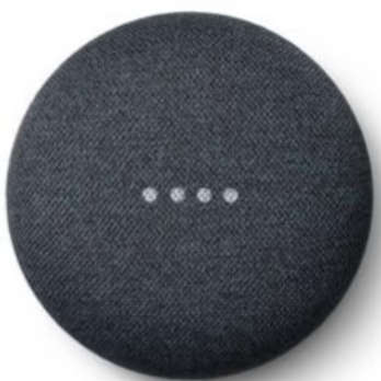 Google Home Mini Smart Speaker