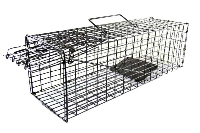 ANIMAL CAGE TRAP - HUMANE - 40CM X 12.5CM X 12.5CM - HUMANE CATCH AND RELEASE