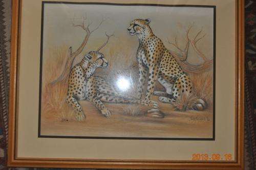 CRAZY START R1 !!!! BEAUTIFUL DRAWING OF TWO CHEETHAS