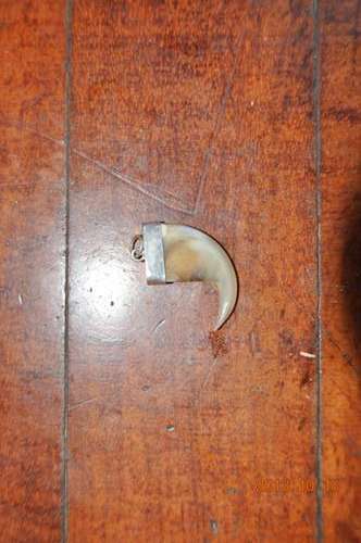 CRAZY START R1 !!!! REAL LION CLAW AND SILVER PENDANT