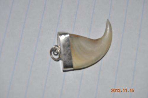 CRAZY START R1 !!!! REAL LION CLAW AND SILVER PENDANT