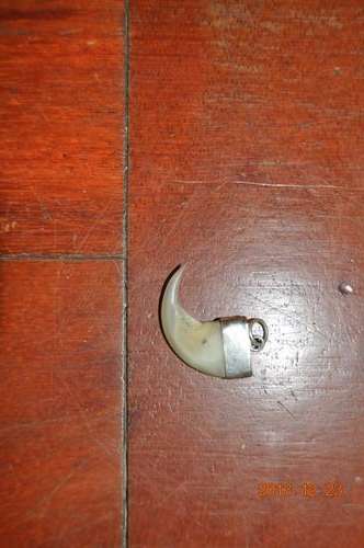 AMAZING REAL LION CLAW WITH SILVER PENDANT !!!!