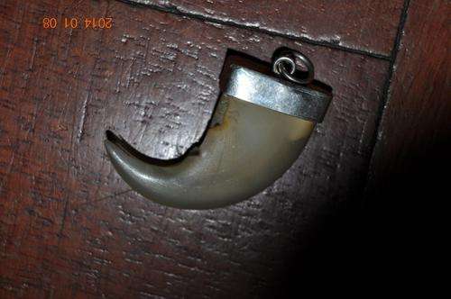 AMAZING!!! REAL LION CLAW AND SILVER PEDANT!!!
