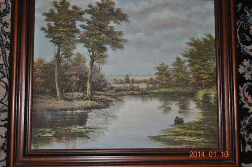 BEAUTIFUL FOREST SCENE OIL ON CANVAS !!!
