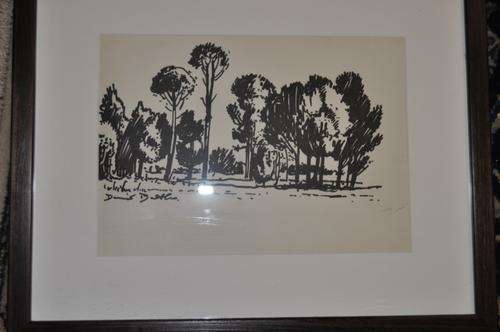 GREAT INVESTMENT!!!ORIGINAL INK DRAWING BY FAMOUS S.A. ARTIST DAVID BOTHA,VALUE R15000