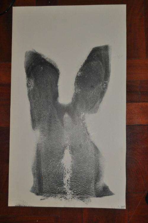ORIGINAL ACRYLIC ON CARTON-MALE TORSO