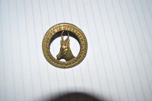 GENERAL SERVICE CORP BADGE