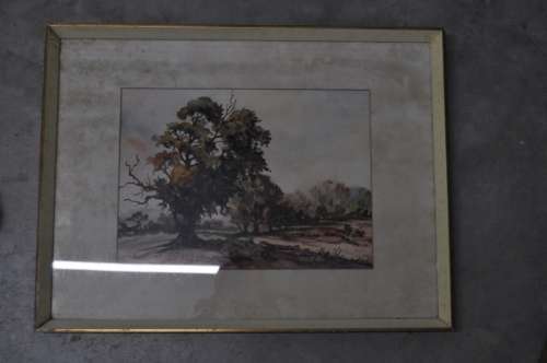 AWESOME WATERCOLOR BY P.J.KOTZE,FORREST SCENE