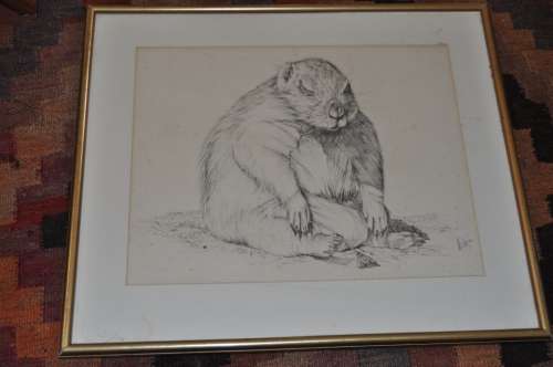 CUTE DRAWING,SIGNED BY ARTIST