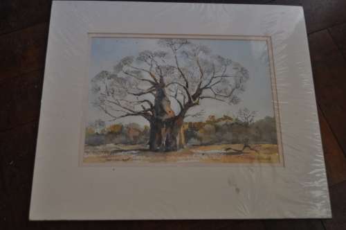 AWESOME ORIGINAL WC MALCOLM PEARCE-AWESOME
