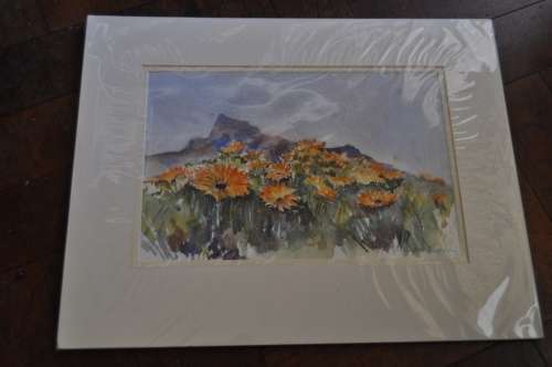 AWESOME ORIGINAL WC MALCOLM PEARCE-AWESOME