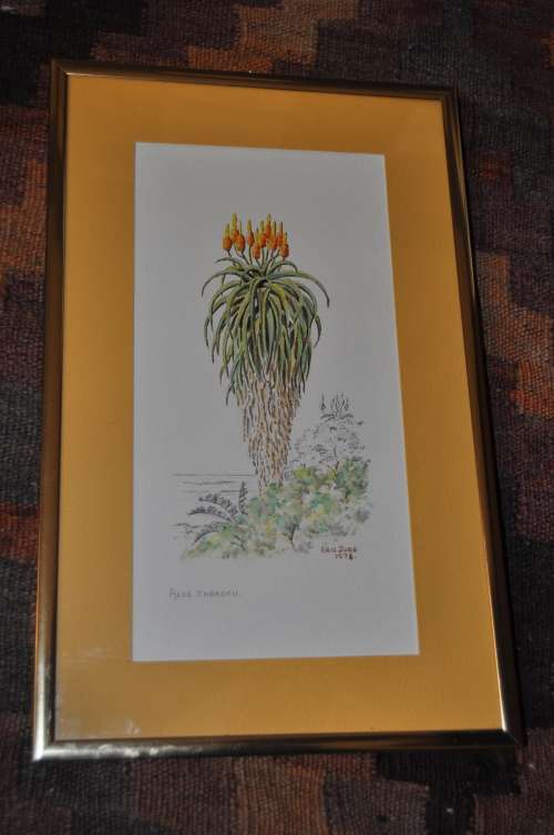 ERIC JUDD -AWESOME ORIGINAL WC-1978