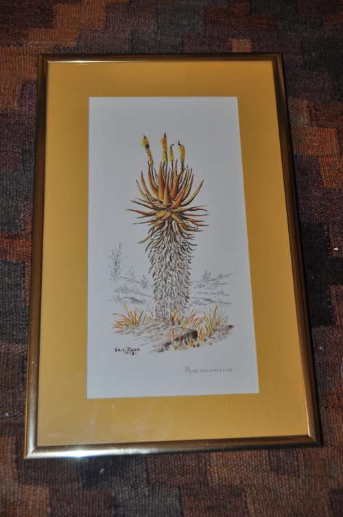 ERIC JUDD -AWESOME ORIGINAL WC-1978