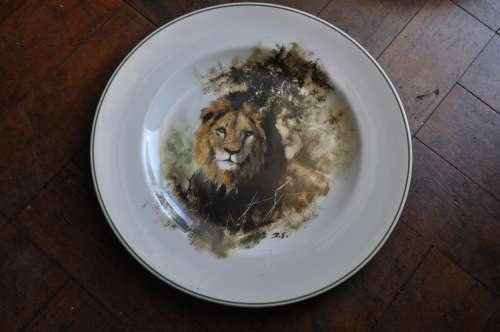 WEDGWOOD  David Shepherd Limited Edition Wildlife Plate LION