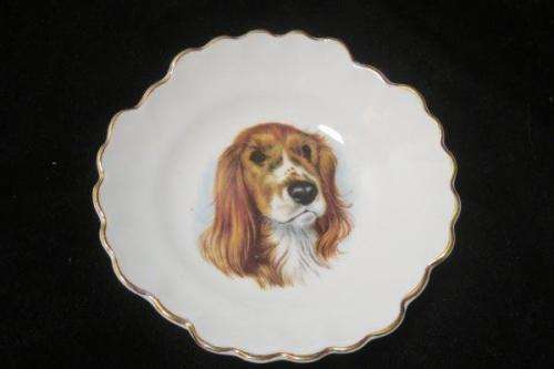 Royal Adderley spaniel dog pin dish