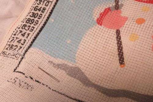 Tapestry canvas - with silks, needle and hoop