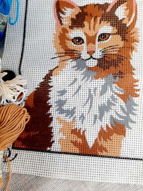 Tapestry canvas of a cat - with cottons - 20.5 x 15cm - half completed