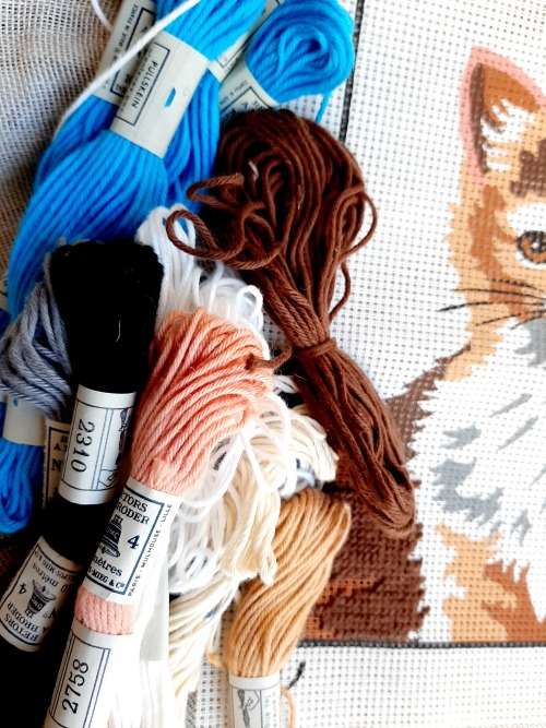 Tapestry canvas of a cat - with cottons - 20.5 x 15cm - half completed