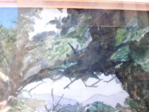 Watercolour painting by Joan Walton