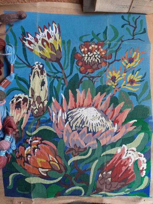 Tapestry canvas and yarns - Proteas - large - 40cm x 53cm