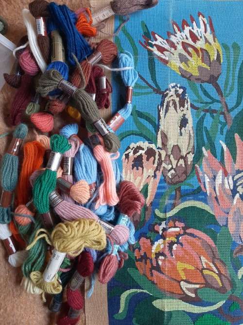 Tapestry canvas and yarns - Proteas - large - 40cm x 53cm