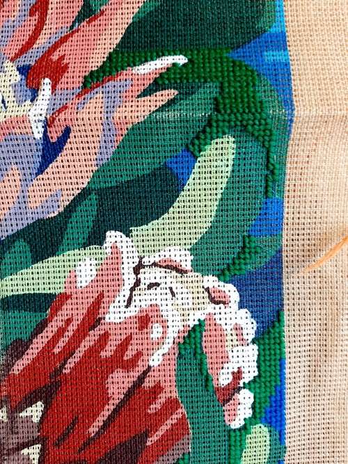 Tapestry canvas and yarns - Proteas - large - 40cm x 53cm