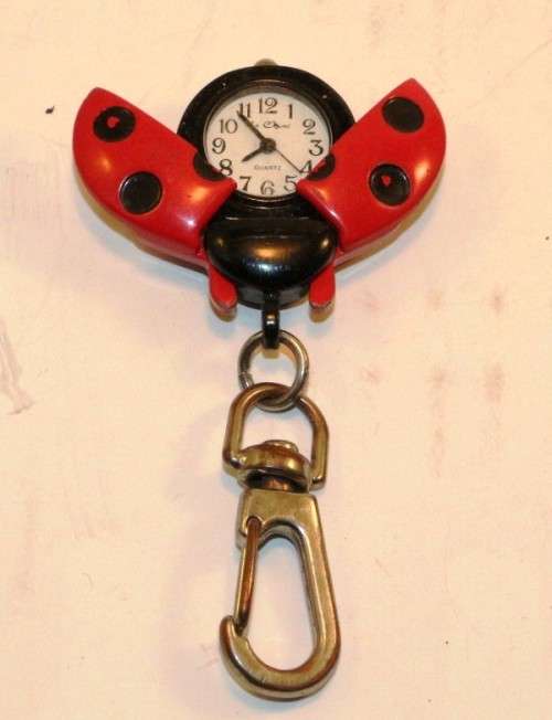 Nurses LadyBird Watch
