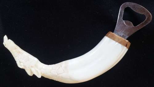 Warthog Tusk Carved Giraffe bottle opener