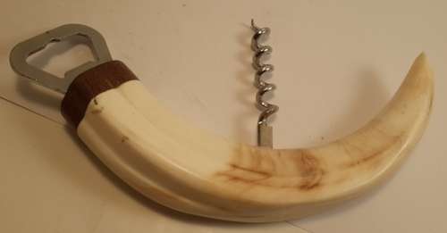 Warthog Tusk   bottle opener cork screw