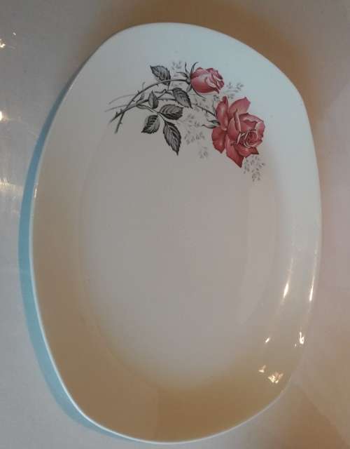 Vintage Retro 1960 Midwinter Carmen Rose Stylecraft Staffordshire England