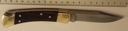 Buck 110 Knife  Lockback