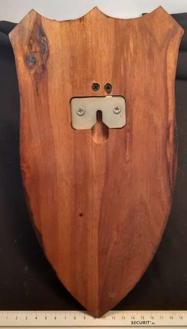 Mounted Springbok Skull with horns on wooden base