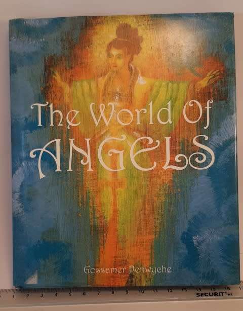 Book The world of Angles By Gossamer Penwyche 127 Pages