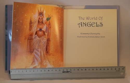 Book The world of Angles By Gossamer Penwyche 127 Pages