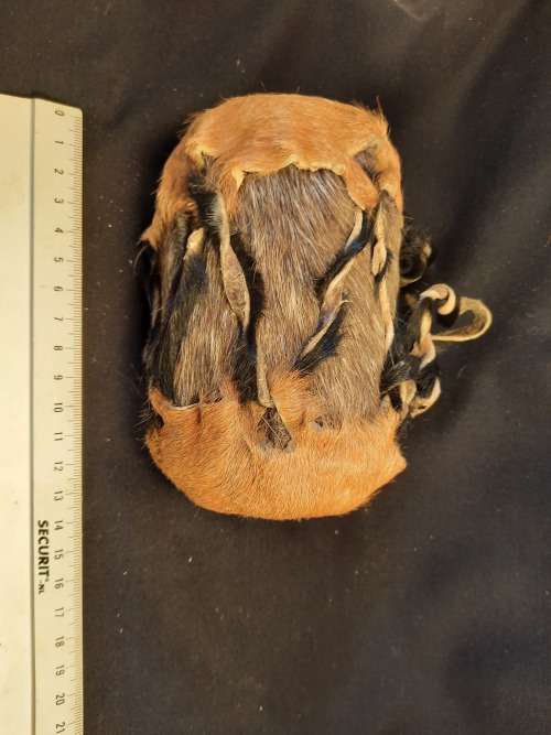 Hand held Drum Rattle Hide Covered Hight 12.5 cm x 8.5 cm