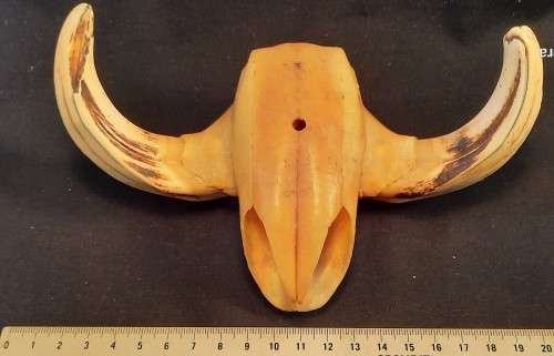 Upper part of Warthog Jaw