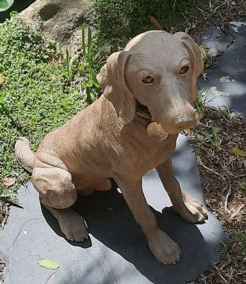 Hand Crafted Dog figurine Sitting Weimarana Hight 39 cm Hand Painted restored