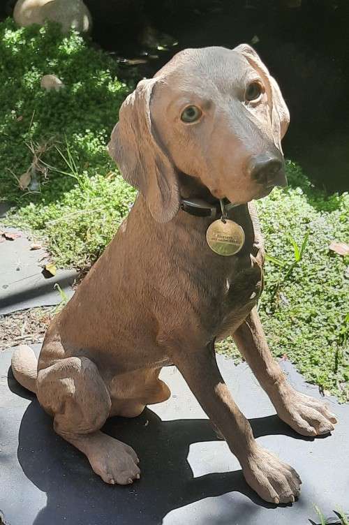 Hand Crafted Dog figurine Sitting Weimarana Hight 39 cm Hand Painted restored