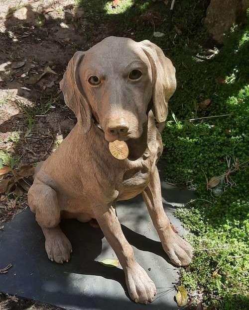 Hand Crafted Dog figurine Sitting Weimarana Hight 39 cm Hand Painted restored