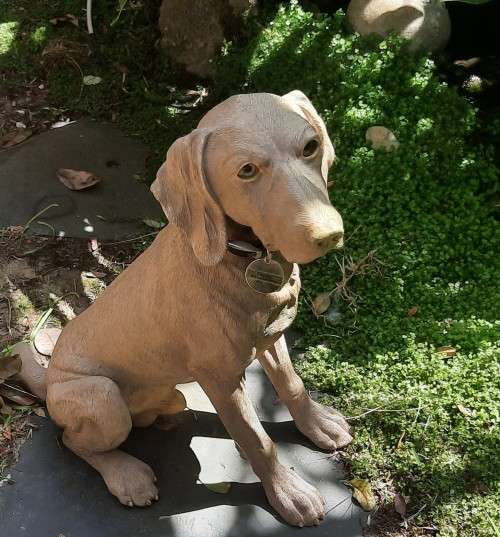 Hand Crafted Dog figurine Sitting Weimarana Hight 39 cm Hand Painted restored