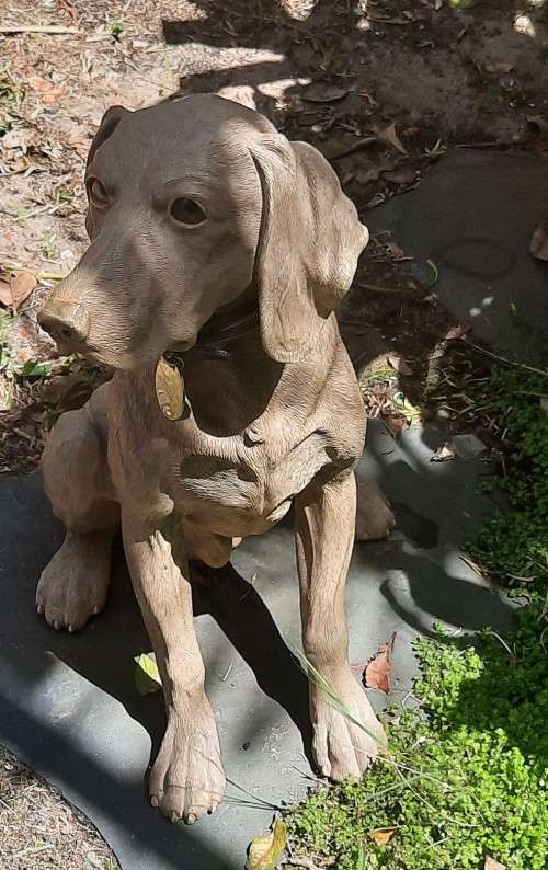 Hand Crafted Dog figurine Sitting Weimarana Hight 39 cm Hand Painted restored