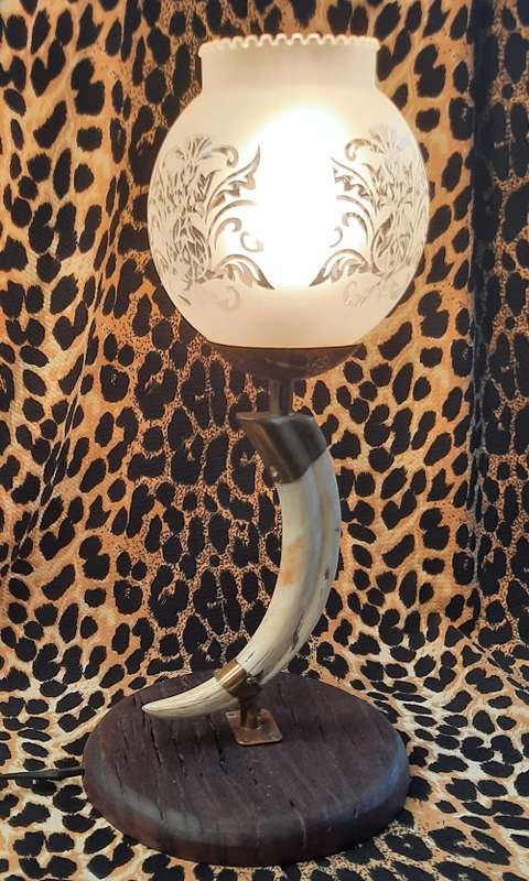 Glass shade  Warthog Tusk table Lamp with Wooden Stand