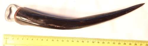 Bottle opener with Buck Horn Handle