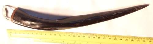 Bottle opener with Buck Horn Handle
