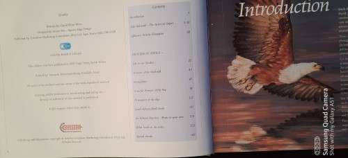 Book Heavens of Africa by David Elliot Wien and Artist Lisa Halstead 160 pages