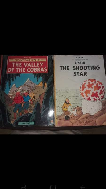 Two Tintin softcover books (The Shooting Star and The Valley of the Cobras)