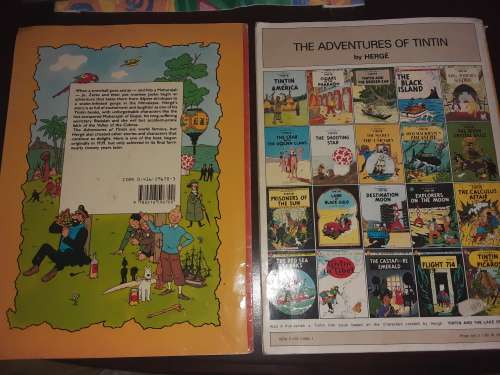 Two Tintin softcover books (The Shooting Star and The Valley of the Cobras)